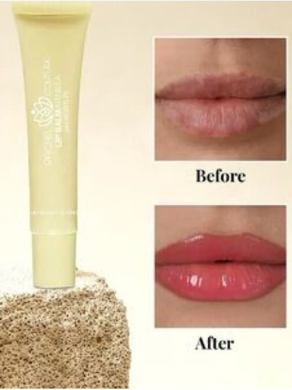 Rachel Couture Vanilla Lip Balm Full Size NEW Vegan Cruelty-Free Hydrating Gloss